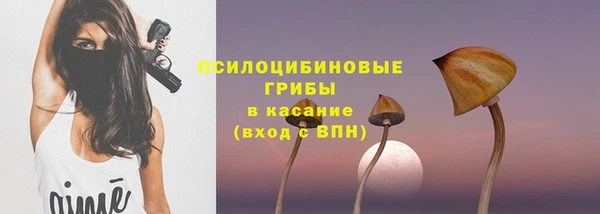 спиды Белокуриха