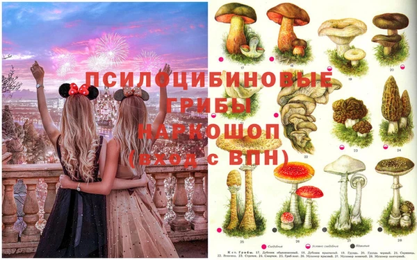 спиды Белокуриха