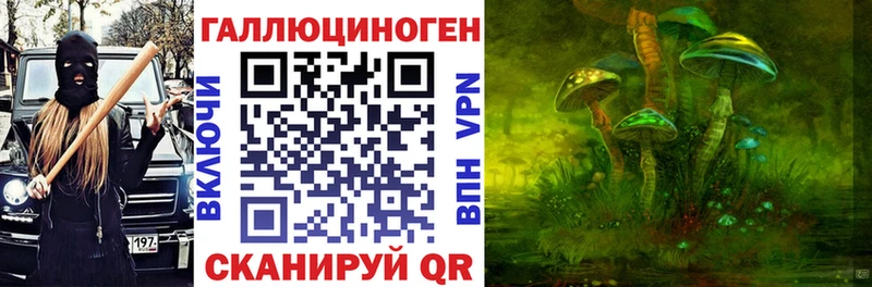 hydra вход  Купино  Псилоцибиновые грибы Cubensis  купить  